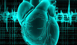 диагностика работы сердца