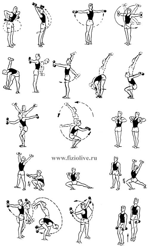 Approximate set of exercises with dumbbells during the second period of readjustment
