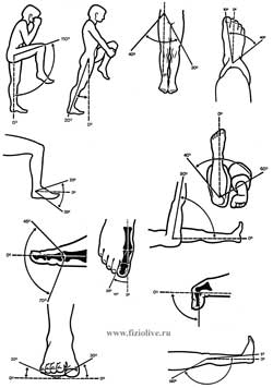 Range of motion in the joints of the lower extremities