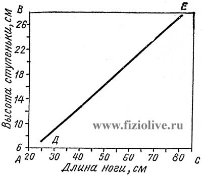 Определение высоты ступеньки при степ-тесте