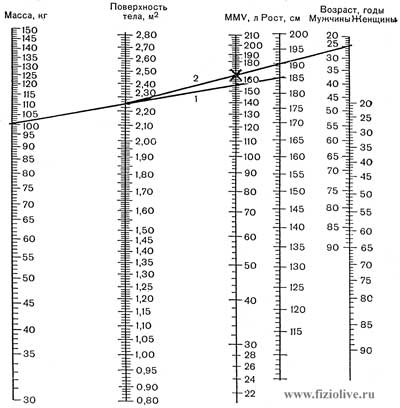 Estimate of maximum minute ventilation of the lungs