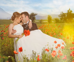 couple on a sunny day in the field of poppies