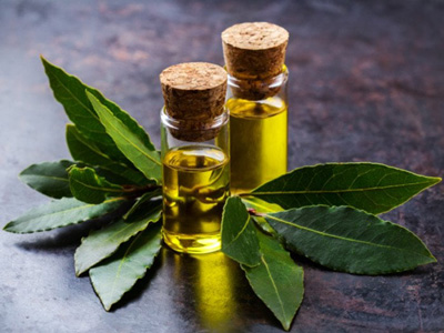 the benefits of laurel essential oil