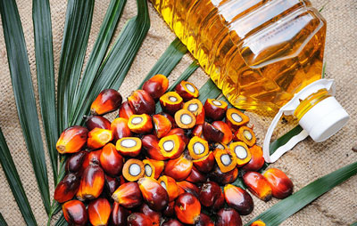 Is palm oil good for health