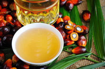 Red palm oil, harm
