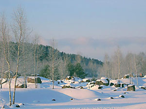 природа Беларуси зимой