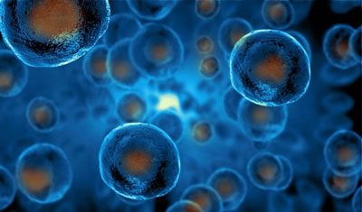 Человеческие индуцированные плюрипотентные стволовые клетки