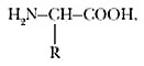Формула аминокислот