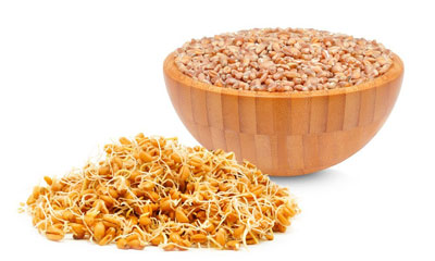 Удивительные преимущества для здоровья зародышей пшеницы
