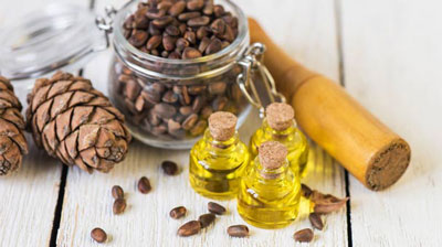 Cedar oil - useful properties, application