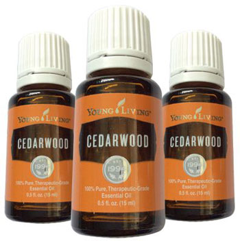 Cedar gum oil, use, contraindications