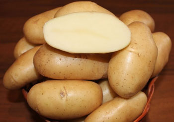 Сорт картофеля Фрителла