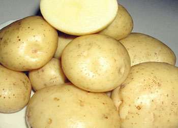 Сорт картофеля Сантэ