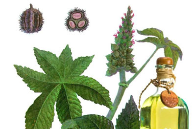 Castor oil - properties and uses