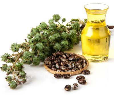 Castor oil as a laxative, application for weight loss