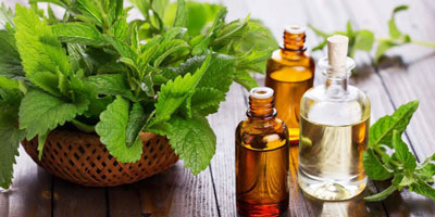 Peppermint oil - application, properties, composition