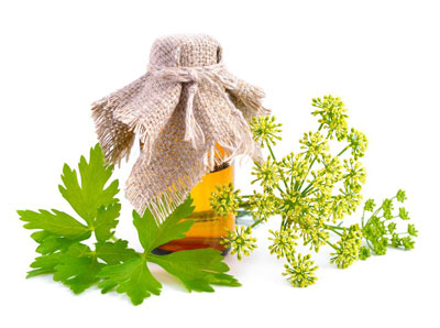 Parsley is so common and easy for plant cultivation that there is almost no sense in forging this oil